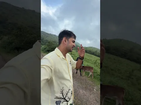 മൂന്നാറിൽ ആനയു , പശുവും 😅🤪 | munna