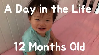  japanese mom in ny a day in the life of a 12 month old 12 months old babys daily routine 
