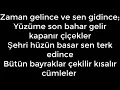 Fikri Karayel - Hayal Edemezsin Lyrics (Sözleri)