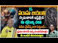Download Lagu Lees morgen op Varaha Jayanti dit vers... het zal je welvaart brengen! Varaha Swamy Wonderen | TK...