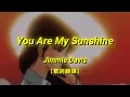 Download Lagu Jimmie Davis - You Are My Sunshine【歌詞翻譯 | 中英文字幕】(Chinese \u0026 English Lyrics)