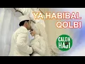 Sholawat Paling Merdu Ya Habibal Qolbi Muslim Wedding, Yang Jomblo Cepet Nyusul Ya ?