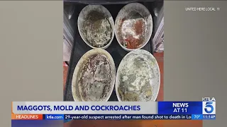 Airline food processing company in L A accused of unsanitary unsafe worker conditions