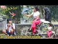 Lagu DIGEBUKIN! BOHONGIN CEWEK DIDEPAN CEWEK (EDISI BOCIL)