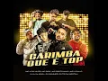 Carimba Que É Top (feat. Dj Tg Da Inestan, Mc Pretchako & DJ SAMMER) - DJ PH DA SERRA, mc l da vinte, mc rick & MC VITIN LC