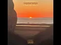 Forgotten Sunlight