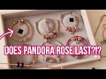 My Pandora Rose Gold Charm Collection Does Pandora Rose LAST Pandora Bracelet Pandora Charms