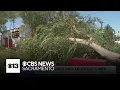 Strong winds lead to downed trees power outages in Carmichael
