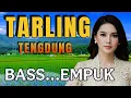 Download Lagu TARLING TENGDUNG ‼️ KOLEKSI LAGU TARLING PILIHAN MEMANJAKAN TELINGA BASS EMPUK