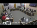 Council Budget Hearings Session 2