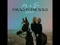 Wild Skies (MOLØ Remix)