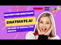 Meet Your New Best Friend Chatmate ai