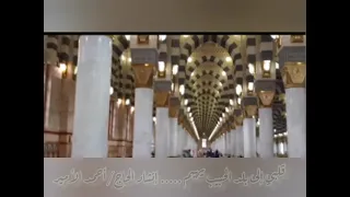 قلبي إلى بلد الحبيب يهيم إنشاد الحاج أحمد الأمير 