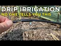 You ll Regret Installing Drip Irrigation Without Knowing This