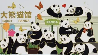 New Panda House opens Don t miss it Panda Daily