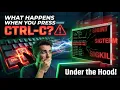 Why CTRL C terminate program SIGINT SIGTERM SIGKILL Explained