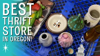 Goodwill vs St Vinnys Which is the BEST THRIFT STORE in Springfield Oregon