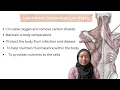 SPS135 CARDIOVASCULAR SYSTEM