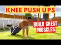 Knee Push Ups For Beginners How To Do More Push Ups 5 Variations Covered