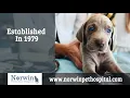 Norwin Veterinary Hospital North Huntingdon Pennsylvania 15642