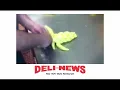Deli News Challah 480P SD