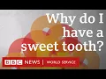 Download Lagu Why do I have such a sweet tooth? Crowdscience - BBC World Service