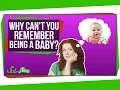 Why Can t You Remember Being a Baby