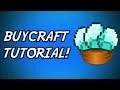 Minecraft BUYCRAFT Ultimate Donation Plugin Basic Setup 1 8 5 and lower