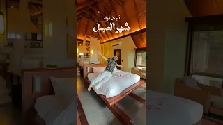 اجمل الدول لشهر العسل فيزا اون لاين دولة رخيصه جدا شعب مضاف هتحس انك ملك سياحة سفر اكسبلور 