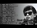Download Lagu FULL ALBUM SALEEM IKLIM BEST ROCK OF MALAYSIAN