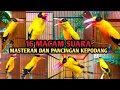 Download Lagu 16 MACAM SUARA Masteran Kepodang Emas Gacor COCOK BUAT PANCINGAN KEPODANG AGAR BUNYI