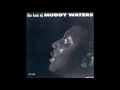Muddy Waters - 17.She Moves Me