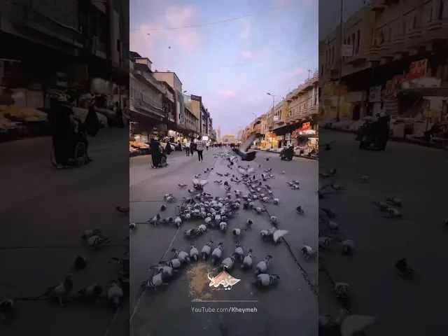 ⁣السلام علیک یا باب الحوائج یا موسی بن جعفر الکاظم