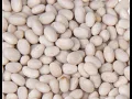 Navy Beans 101 - Nutrition and Health Benefits