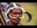 Download Lagu LAGU VIRAL - SRIGANOSFAMILIA - PETIR DALAM HUTAN
