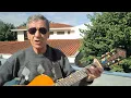 Download Lagu Still Got the Blues - Gary Moore cover (Neco Avelar)