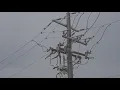 Frequent power outages frustrate Port Neches residents amid Entergy upgrades