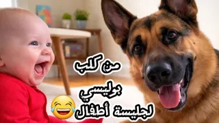 من مطاردة المجرمين تحول لداده دودى    دندنها