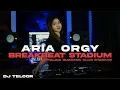 Download Lagu DJ BREAKBEAT STADIUM 2025 | ARIA | SUASANA CLUB STADIUM DIJAMIN NOSTALGIA | DJ TELOOR