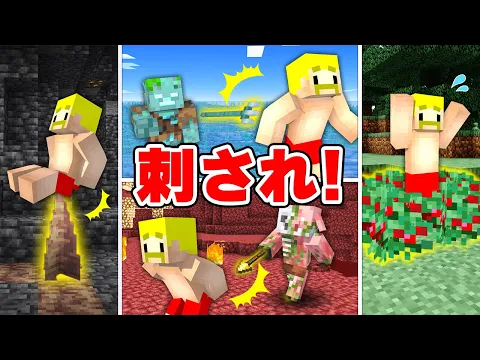 Video Thumbnail: チクっとした人が勝ち!刺され早抜け選手権!