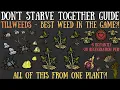 Don t Starve Together Guide Tillweeds - Best Weed In The Game