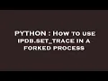 PYTHON How to use ipdb set - trace in a forked process
