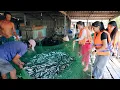 Download Lagu SAPA TV | CÙNG SONG HỶ ĐI CHỢ CHÂU ĐỐC VÀ KHÁM PHÁ CUỘC SỐNG NGƯỜI CHĂM TRÊN LÀNG BÈ 7 SẮC CẦU VỒNG