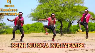 seni sunga nalyembe dj musa kasekese 0629858034 360p mp3