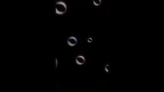 اجمل حالات واتساب صوتي صوت صفاره   دندنها