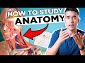 How to Study Anatomy in Medical School