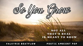 so you grow a song about wind growth u0026 trust valkyrie beatflow