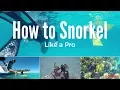 Lagu How To Snorkel Like a Pro With These Simple Tips