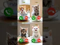 Download Lagu catcall #nocomment #aicat #monkcall #ringtone #ringtones #kitten #animallovers