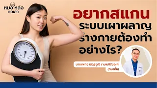 ร่างกายมีไขมันสะสมมากขึ้นจะส่งผลต่อระบบเผาผลาญอย่างไร